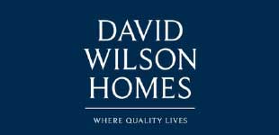 david-willson